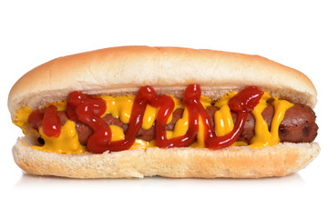 Hot Dog Food