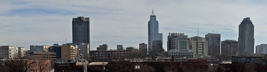 Fototapeta na wymiar Skyline Panorama grunge Raleigh