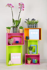 Beautiful colorful shelves with different home related objects