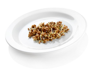 Wheat germs on plate isolated on white