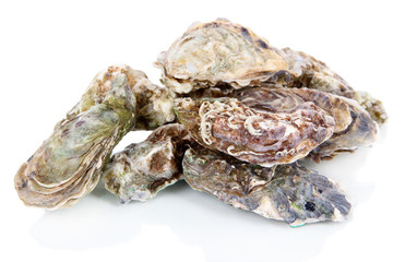 Oysters isolated on white