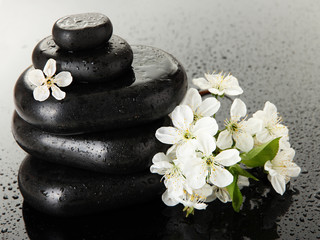 Spa stones and white flowers on dark background