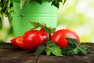 Fresh tomatoes and young plant in bucket