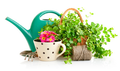flowers and green plants for gardening with garden tools