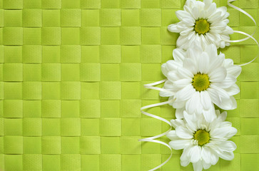 Asters line on green background