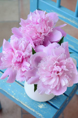 Bunch of peony on shabby blue chair