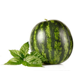 Anguria 