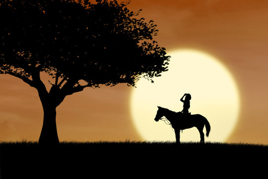 Horse rider silhouette at sunset in park