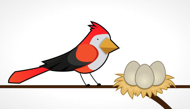 The Cartoon Bird - Clip Art Library