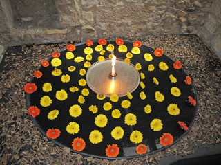 flores y fuego