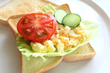 Fototapeta na wymiar egg and vegetable sandwiches