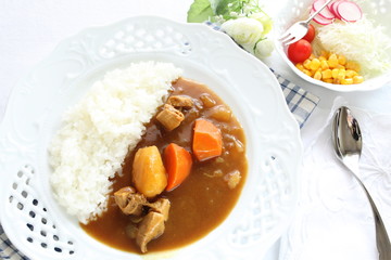 japanese pork curry rice