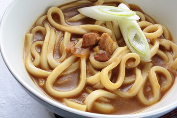 japanese cuisine, pork curry udon noodles in bowl