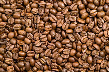 Brown background of coffee beans