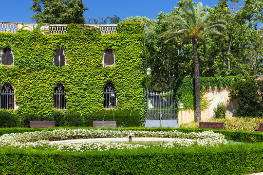 Park landscape. Barcelona landmark, Spain.
