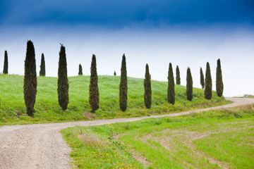 Fototapeta premium Tuscany