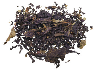 Fototapeta premium Basil