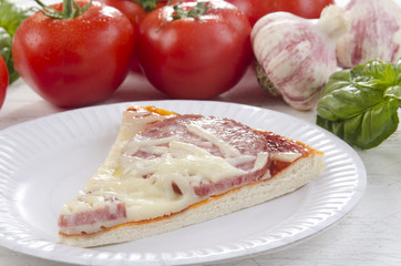 Fototapeta na wymiar italian pizza with salami and cheese