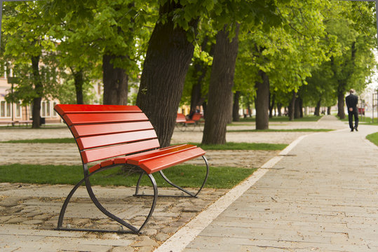 red bech in the park