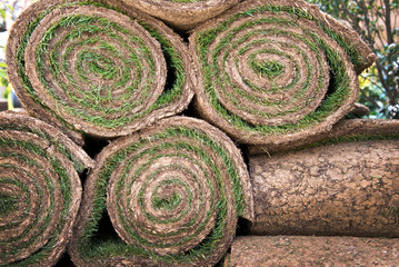 Rouleaux de gazon prêt à poser