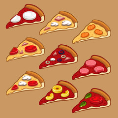 Different Pizza set
