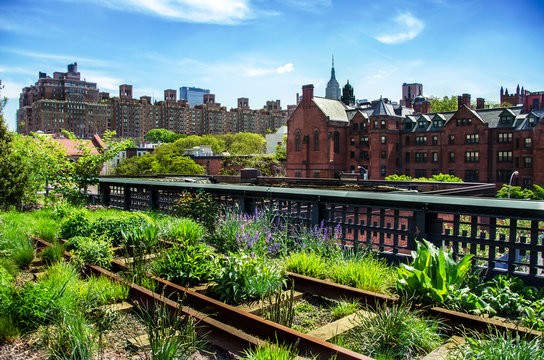 Fototapeta HIgh Line, urban public park, New York City, Manhattan