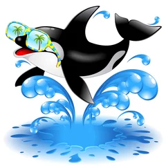 Printed kitchen splashbacks Dolphins Killer Whale Cartoon with Sunglasses-Orca Con Occhiali da Sole