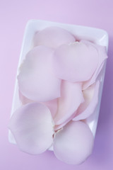 Pink rose petals