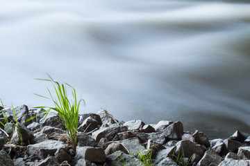 River on the white background
