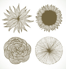 Vintage flowers set. Retro floral elements