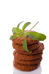 stevia rebaudiana as sweetener for cookies