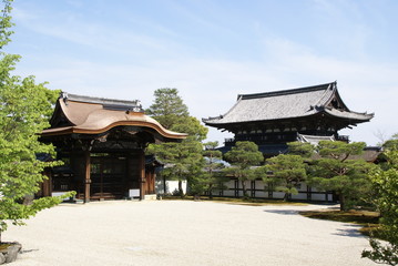 Fototapeta premium 仁和寺 南庭の景色
