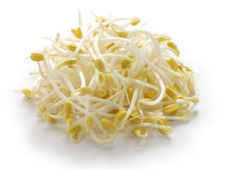 bean sprouts, soybean sprouts on a white background