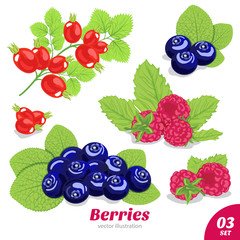 Set of berries from blueberries, raspberries