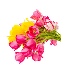 bouquet of tulips
