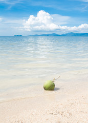 Green coconut on white beach sand