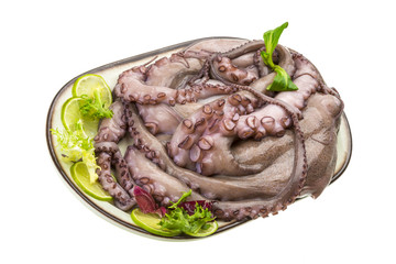 Raw large octopus
