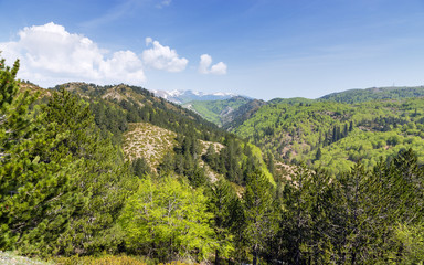 Fototapeta na wymiar Landscape in Pindus mountains (1600m), Epirus, Greece
