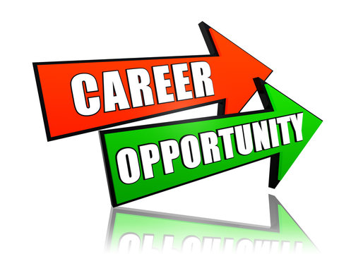 career opportunity in arrows