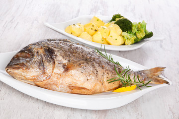 Grilled fish.