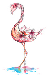 Fototapeta premium flamingo