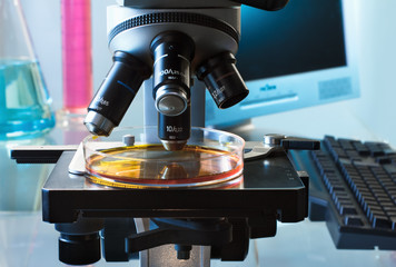 working with the microscope