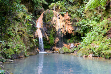 Cascade de caldeira velha  sur l'île de Sao Miguel