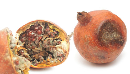 rotten pomegranate on white