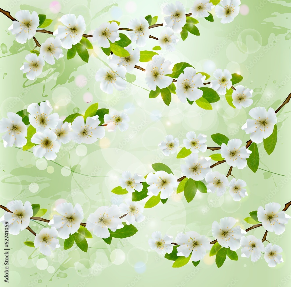 Poster nature background with blossoming tree branches. vector illustra