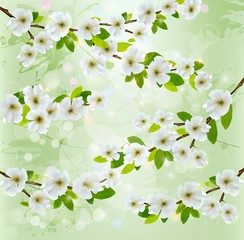 Nature background with blossoming tree branches. Vector illustra