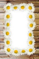 Frame: daisies on the wooden background
