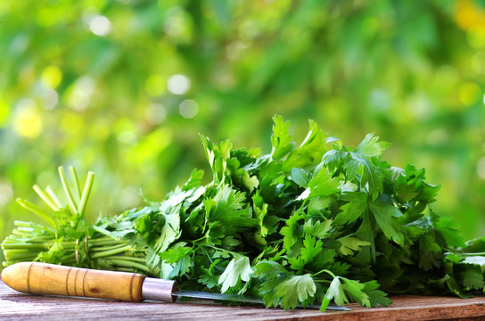 Cilantro herbs and knife.