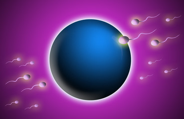 Spermatozoon and ovule