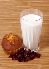 Baking cake with cranberry and milk on background